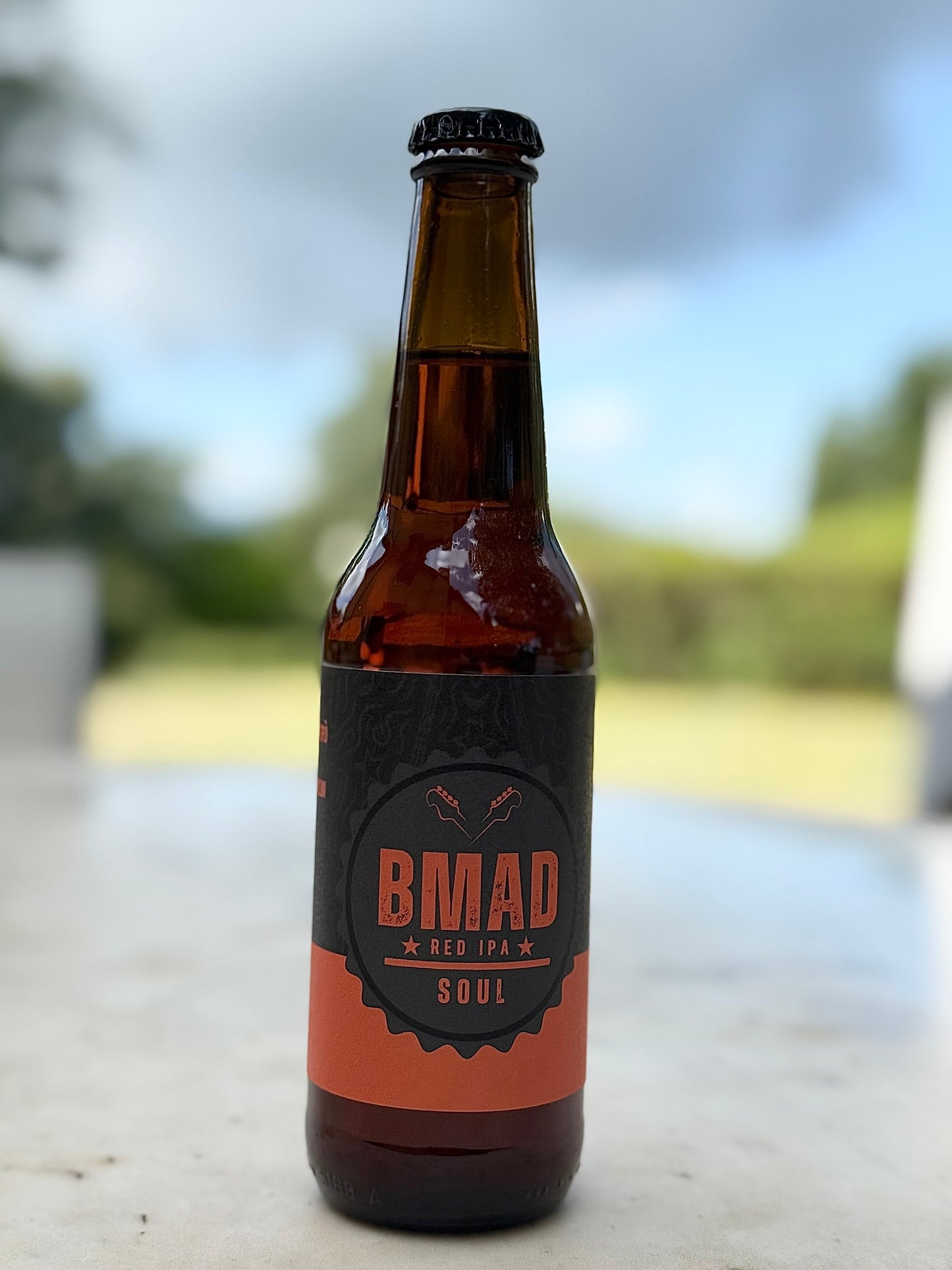 Birra artigianale IPA confezione da 12 bottiglie da 33 cl, Vol 6%