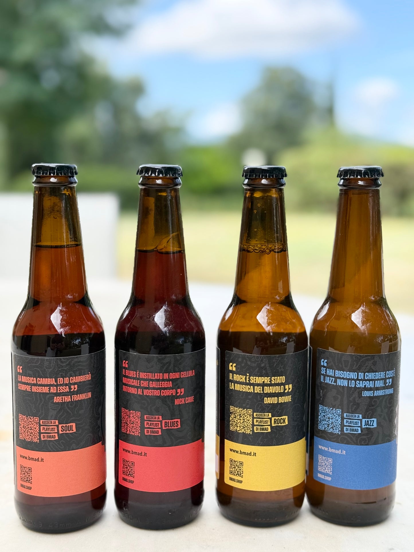 Tasting Box 3 Blond Ale, 3 Strong Ale, 3 Ipa e 3 Blanche - 12 birre da 33cl