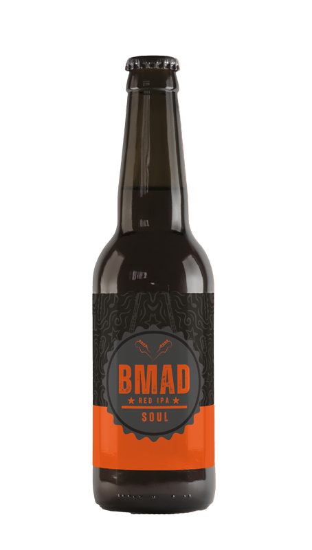 Birra artigianale IPA confezione da 6 bottiglie da 33 cl, Vol 6%