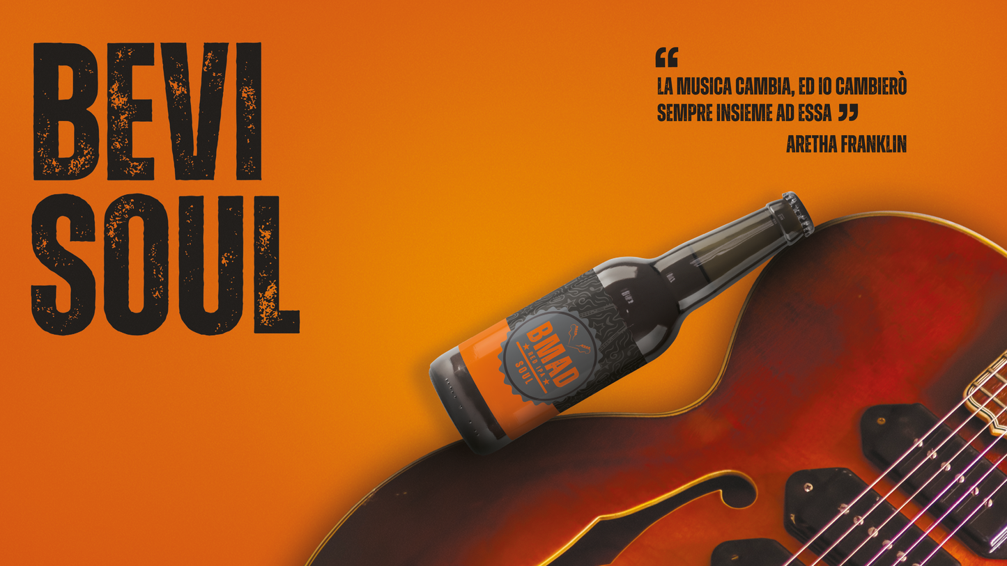 Birra artigianale IPA confezione da 12 bottiglie da 33 cl, Vol 6%