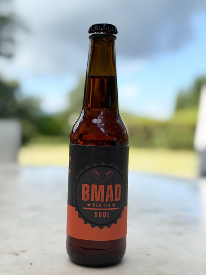 Birra artigianale IPA confezione da 12 bottiglie da 33 cl, Vol 6%