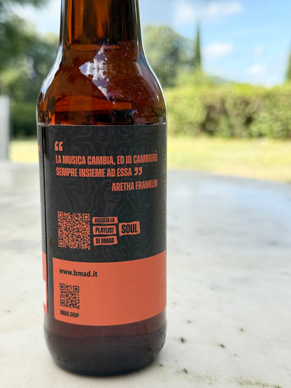 Birra artigianale IPA confezione da 12 bottiglie da 33 cl, Vol 6%