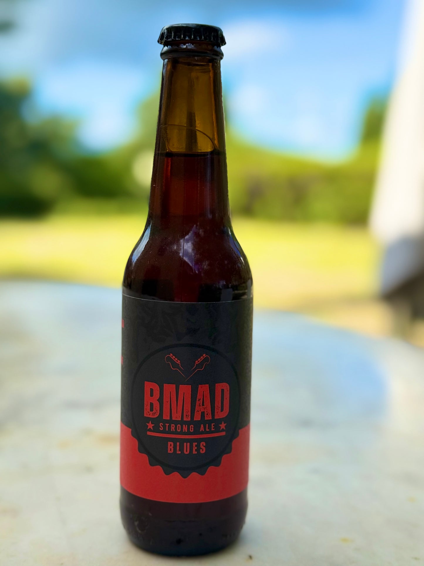 Birra artigianale Amber Strong Ale confezione da 12 bottiglie da 33 cl, Vol 7%