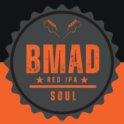 Birra artigianale IPA confezione da 6 bottiglie da 33 cl, Vol 6%