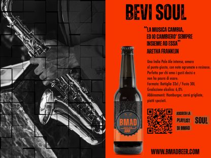 Birra artigianale IPA confezione da 12 bottiglie da 33 cl, Vol 6%