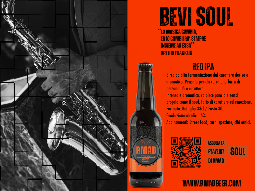 Birra artigianale IPA confezione da 6 bottiglie da 33 cl, Vol 6%