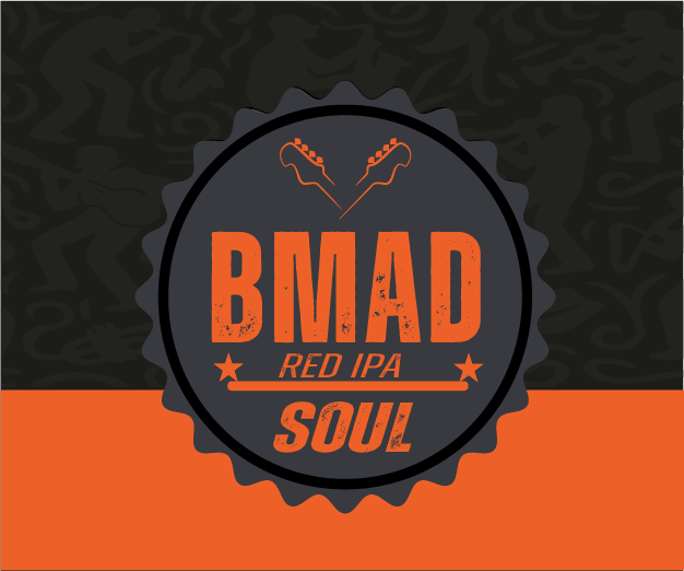 Birra artigianale IPA confezione da 6 bottiglie da 33 cl, Vol 6%