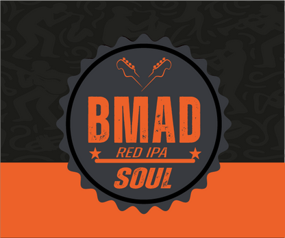 Birra artigianale IPA confezione da 12 bottiglie da 33 cl, Vol 6%